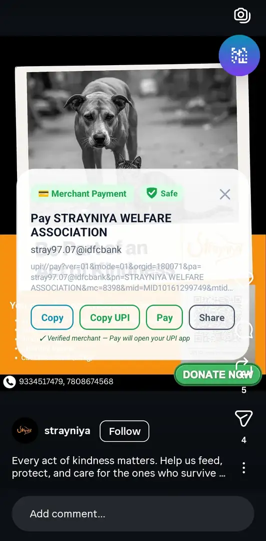 OnScreen QR Scan Result Screen